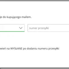 Dodaj numer przesyłki od kuriera. Wybierz kraj wysyłki, przewoźnika i wpisz numer.