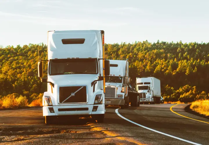 Konwój białych ciężarówek na drodze, otoczony przez drzewa. Efektywna logistyka transportowa w akcji.