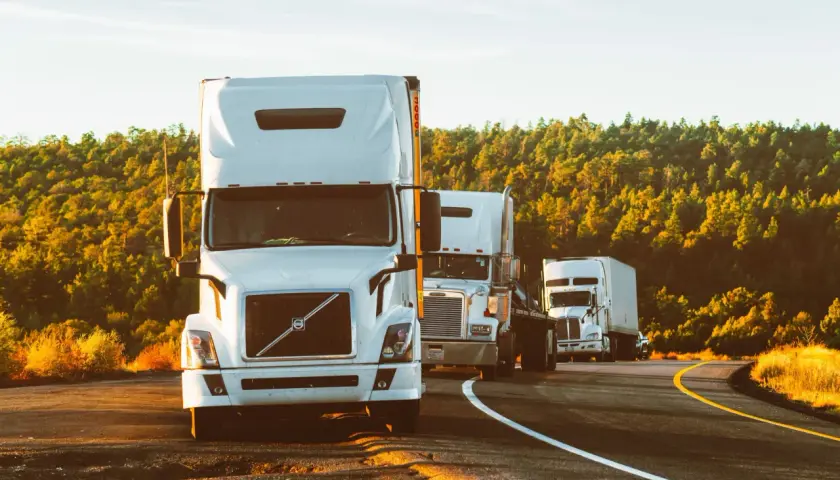 Konwój białych ciężarówek na drodze, otoczony przez drzewa. Efektywna logistyka transportowa w akcji.